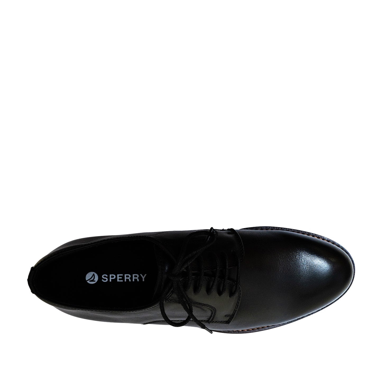 Sperry Men's Seaport Oxford Casual Shoes - Black (25S00151)