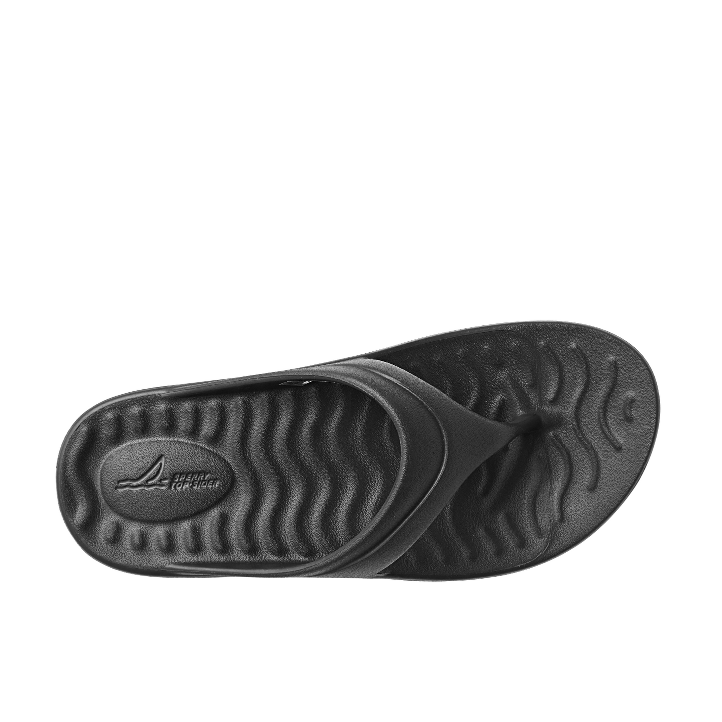 Sperry Men's Flow Sandal Sandal - Black (10429939)