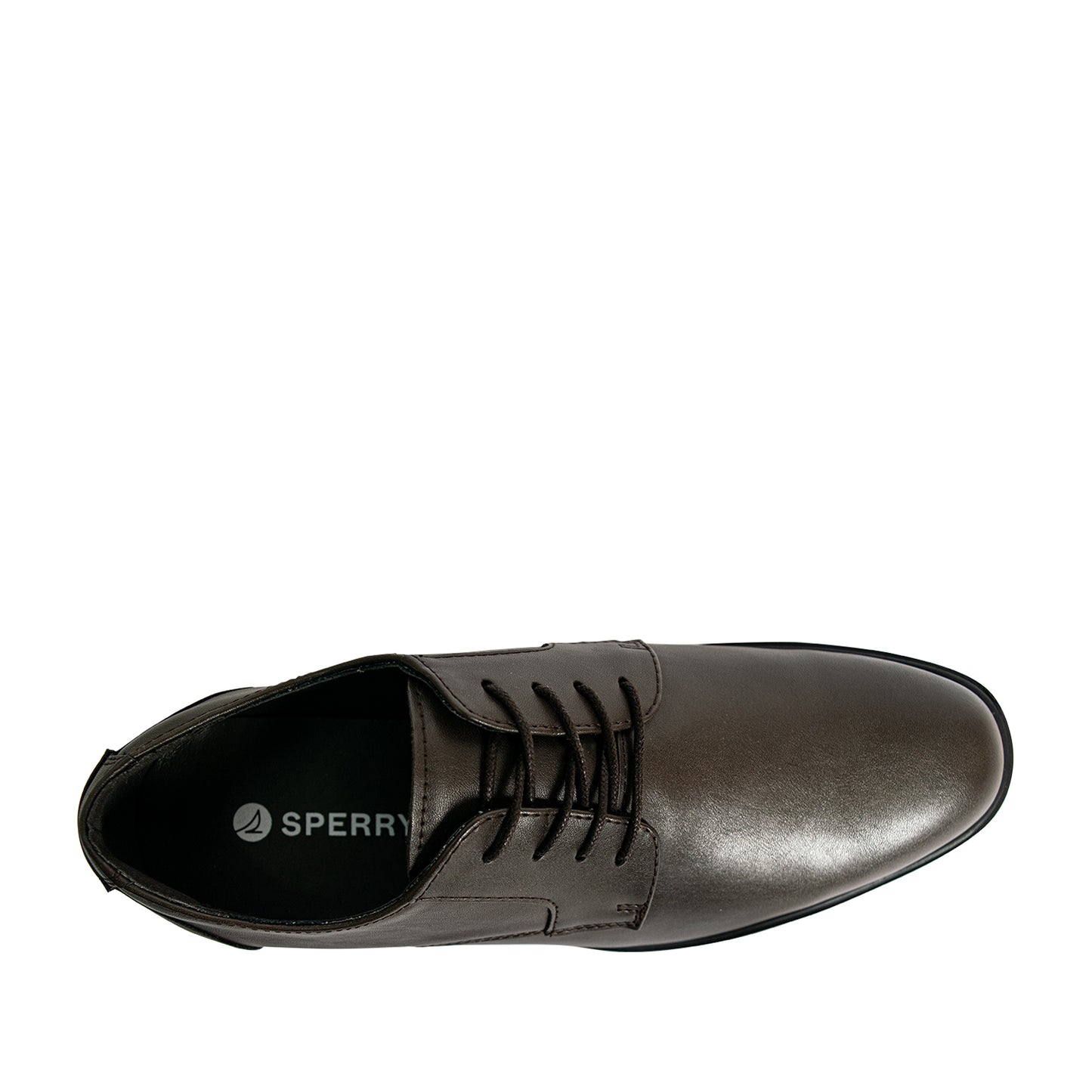 Sperry Men's Newnan II Oxford Casual Shoes - Dark Brown (25S00291)