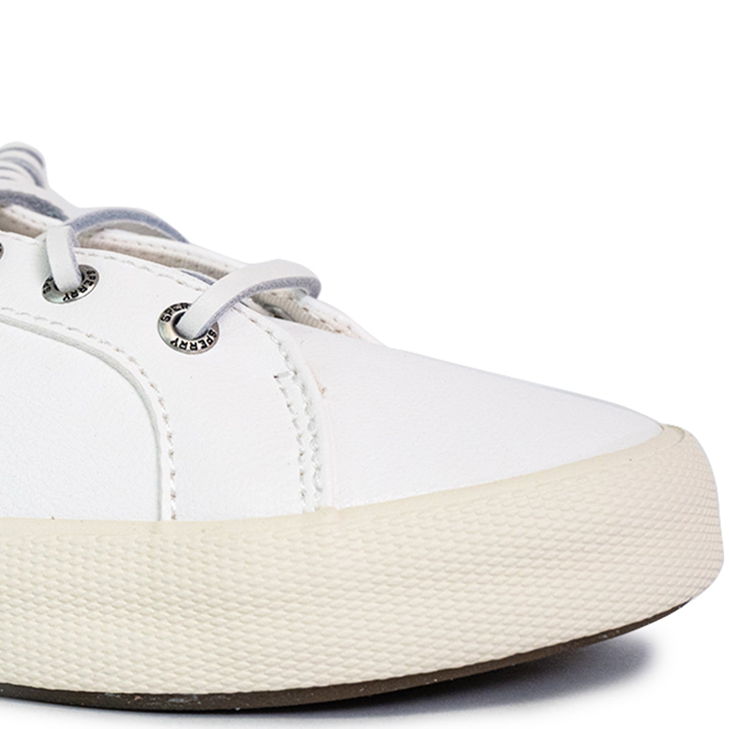 Sperry Women's Pier Wave LTT CVS Sneakers - White/Navy (25S01082)
