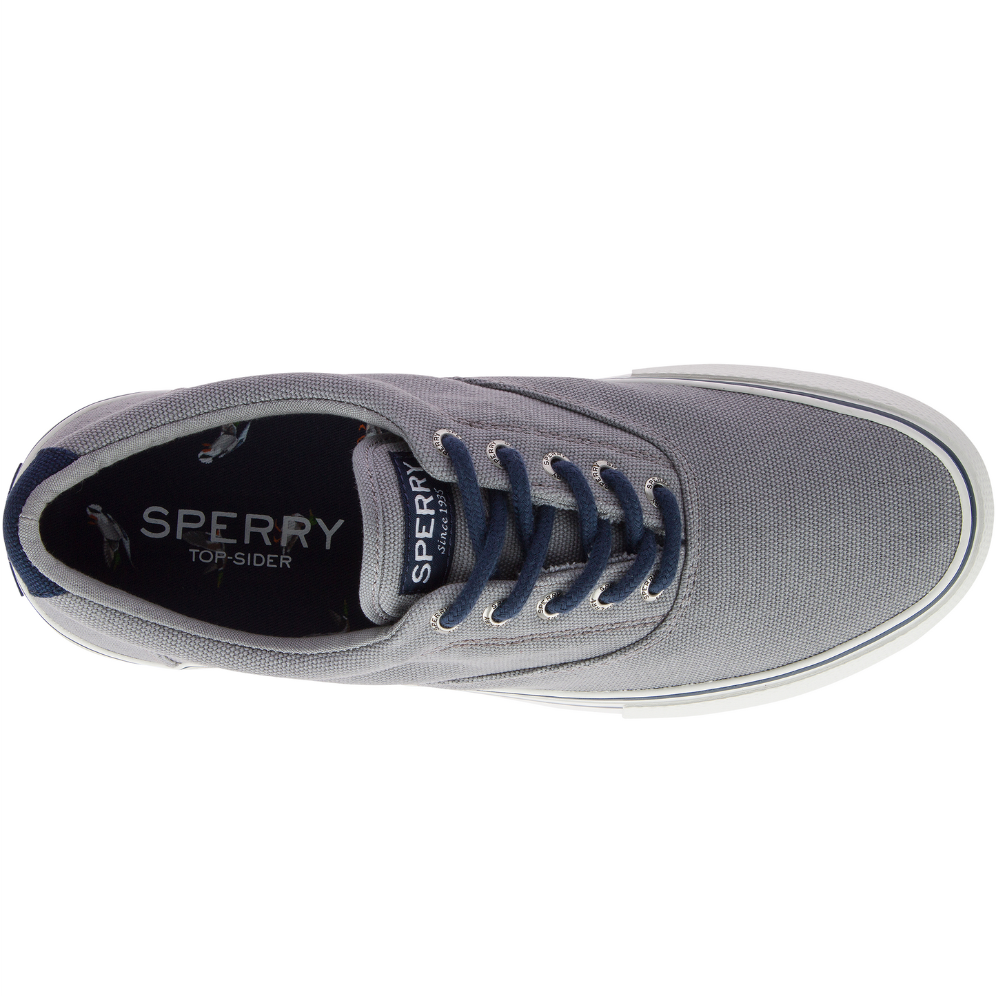 Sperry Men's Striper II Storm CVO Duck Gray Sneaker (STS19843)